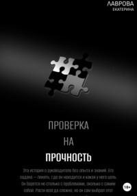 Проверка на прочность, аудиокнига Екатерины Лавровой. ISDN70936402