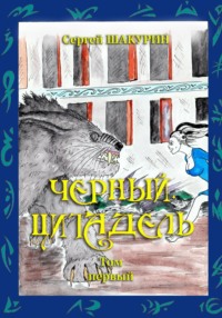 Черный. Мир миров. Том первый - Сергей Шакурин