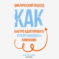 Циклический подход. Как быстро адаптировать и реорганизовать компанию, audiobook Себастиана Кляйна. ISDN70938679