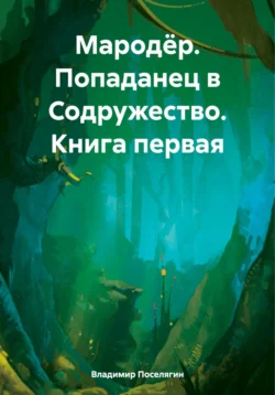 Мародёр. Попаданец в Содружество. Книга первая - Владимир Поселягин