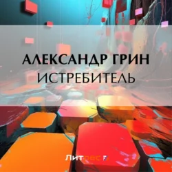 Истребитель - Александр Грин