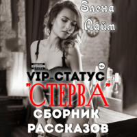 VIP-статус «Стерва». Сборник рассказов, аудиокнига Виталия Александровича Кириллова. ISDN70942801