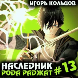 Наследник рода Раджат – 13 - Игорь Кольцов