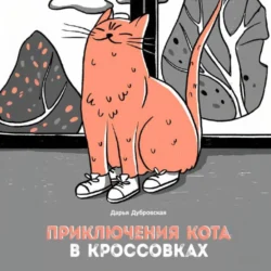 Приключения кота в кроссовках, audiobook Дарьи Николаевны Дубровской. ISDN70955173