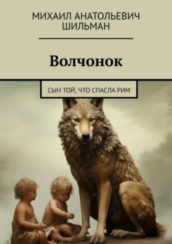 Волчонок. Сын той, что спасла Рим, аудиокнига Михаила Анатольевича Шильмана. ISDN70955935