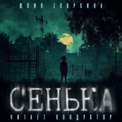 Сенька, аудиокнига Юлии Александровны Скоркиной. ISDN70963498