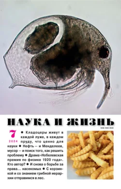 Наука и жизнь №07/2024 - Сборник