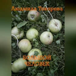 Большой человек - Людмила Токарева