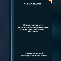 Эффективность управления персоналом предприятия малого бизнеса, аудиокнига Сергея Каледина. ISDN70970035