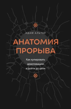 Анатомия прорыва. Как купировать демотивацию и дойти до цели - Адам Альтер