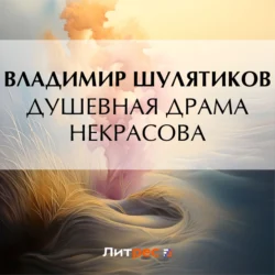 Душевная драма Некрасова, аудиокнига Владимира Михайловича Шулятикова. ISDN70973197