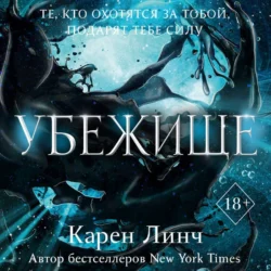 Убежище, audiobook Карена Линча. ISDN70973332