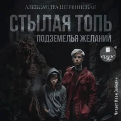 Стылая Топь. Подземелья желаний, аудиокнига Александры Шервинской. ISDN70973764