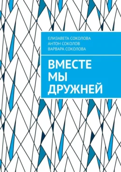 Вместе мы дружней, аудиокнига Елизаветы Соколовой. ISDN70975429