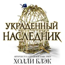 Украденный наследник - Холли Блэк