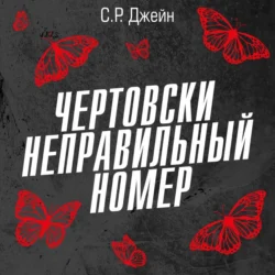 Чертовски неправильный номер - С. Р. Джейн