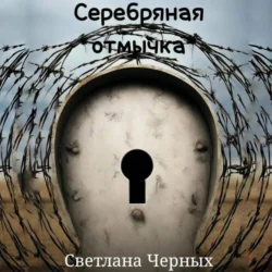 Серебряная отмычка - Светлана Черных