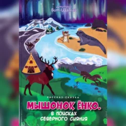 Мышонок Ёнко. В поисках северного сияния - Дмитрий Бит-Шамай