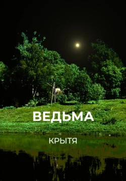 Ведьма, аудиокнига Крыти. ISDN70988698