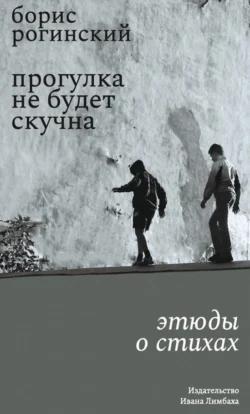 Прогулка не будет скучна. Этюды о стихах - Борис Рогинский