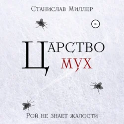 Царство мух - Станислав Миллер