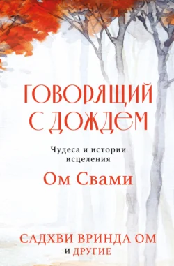 Говорящий с дождем. Чудеса и истории исцеления Ом Свами, аудиокнига Садхви Вринды Ом. ISDN71016277