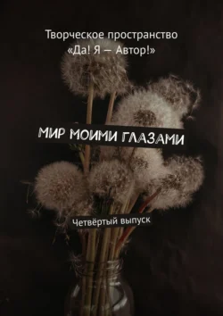 Мир моими глазами. Четвёртый выпуск, audiobook Алии Латыйповой. ISDN71021266