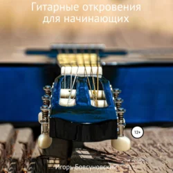 Гитарные откровения для начинающих, audiobook Игоря Бовсуновского. ISDN71024899