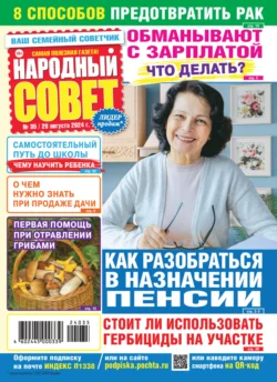 Народный совет №35/2024, аудиокнига . ISDN71033938