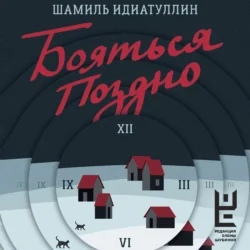 Бояться поздно, audiobook Шамиля Идиатуллина. ISDN71034904