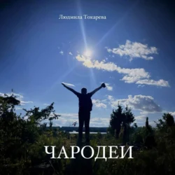 Чародеи - Людмила Токарева