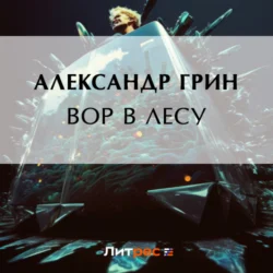 Вор в лесу - Александр Грин