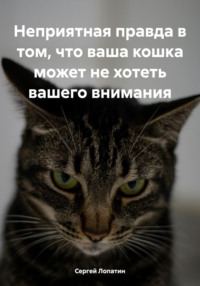 Неприятная правда в том, что ваша кошка может не хотеть вашего внимания - Сергей Лопатин