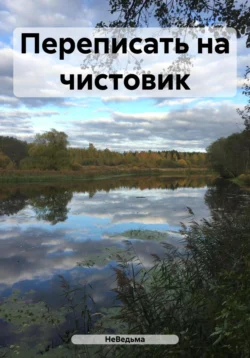 Переписать на чистовик, audiobook НеВедьмы. ISDN71038618