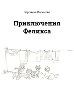 Приключения Феликса - Вероника Воронова