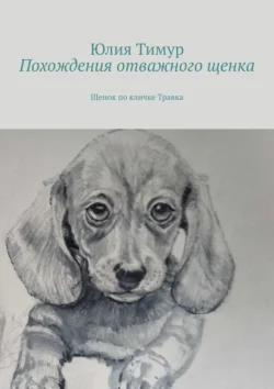 Похождения отважного щенка. Щенок по кличке Травка, аудиокнига Юлии Тимур. ISDN71039872