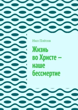 Жизнь во Христе – наше бессмертие - Нил Плёсов