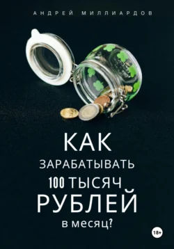 Как зарабатывать 100 тысяч рублей в месяц?, audiobook Андрея Миллиардова. ISDN71040298