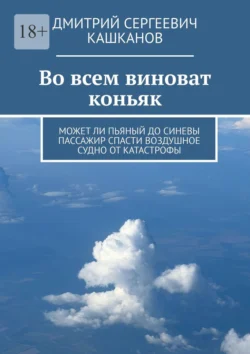 Во всем виноват коньяк. Может ли пьяный до синевы пассажир спасти воздушное судно от катастрофы - Дмитрий Кашканов