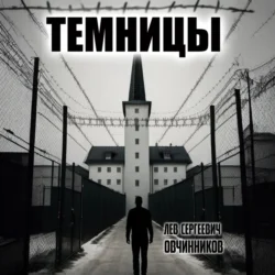 Темницы - Лев Овчинников