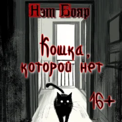 Кошка, которой нет - Нэт Бояр