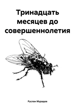 Тринадцать месяцев до совершеннолетия, аудиокнига Руслана Мурадова. ISDN71051890