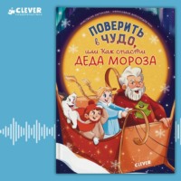 Поверить в чудо, или Как спасти Деда Мороза, аудиокнига Анастасии Лютиковой. ISDN71057344