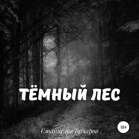 Тёмный лес, audiobook Станислава Бочарова. ISDN71059708