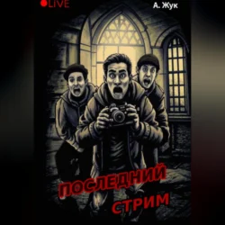 Последний стрим, audiobook Анны Жук. ISDN71063020