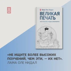 Великая печать. Пространство и радость безграничны. Взгляд Махамудры буддизма Алмазного пути - Оле Нидал