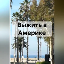 Выжить в Америке - Вера Аликина