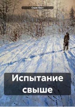 Испытание свыше, audiobook Сержа Бэст. ISDN71066962