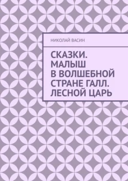 Сказки. Малыш в волшебной стране Галл. Лесной царь, аудиокнига Николая Васина. ISDN71067556