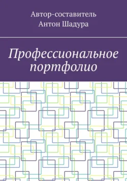 Профессиональное портфолио - Антон Шадура